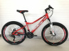  26" Велосипед ROUSH MD220-2 (красный)