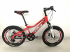  20" Велосипед ROUSH MD220-2 рама 11 (красный матовый)