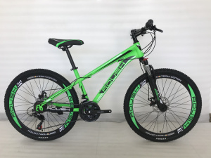  26" Велосипед ROUSH MD200-3 рама 15 (зелёный матовый)