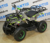 Детский квадроцикл (игрушка) ATV CLASSIC E 800W зеленый ананас