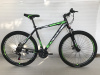  29" Велосипед ROUSH MD210-3 рама 21 (зеленый матовый)