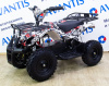 Детский квадроцикл (игрушка) ATV CLASSIC E 800W пират